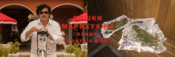 сатива Беломорск