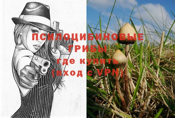 сатива Беломорск