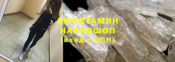сатива Беломорск