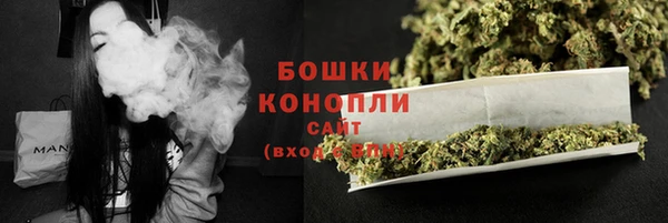 сатива Беломорск