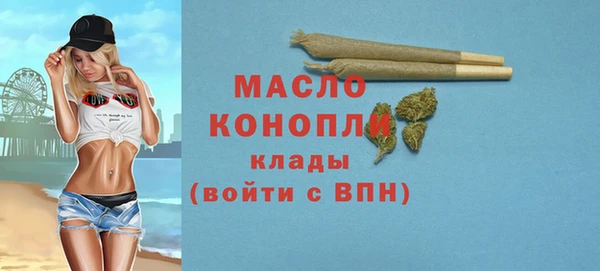 сатива Беломорск