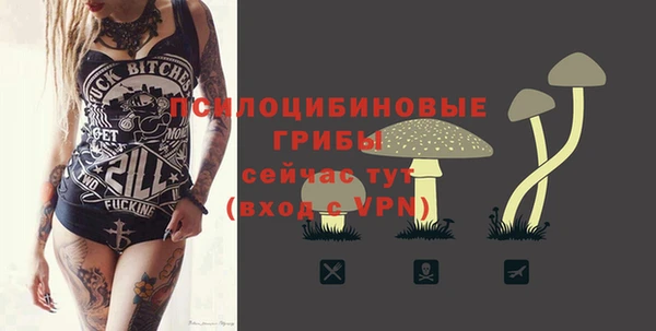 сатива Беломорск