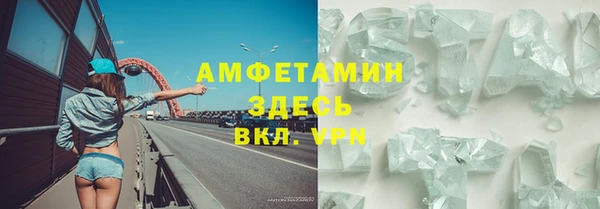 сатива Беломорск