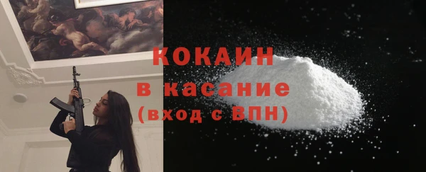 сатива Беломорск