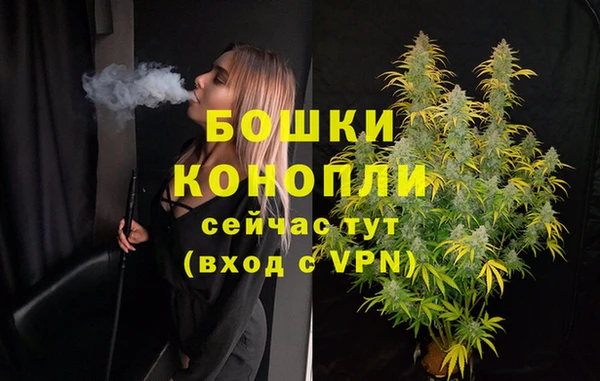 сатива Беломорск